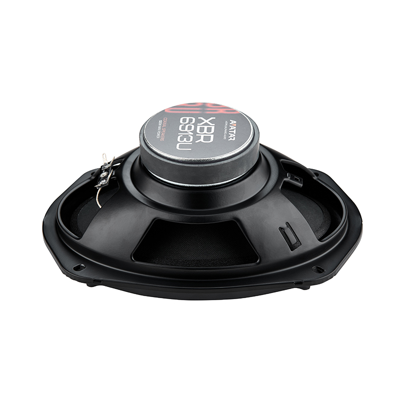 Avatar XBR-6913U