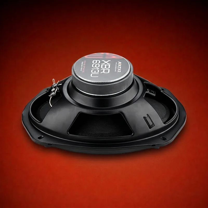 Avatar XBR-6913U