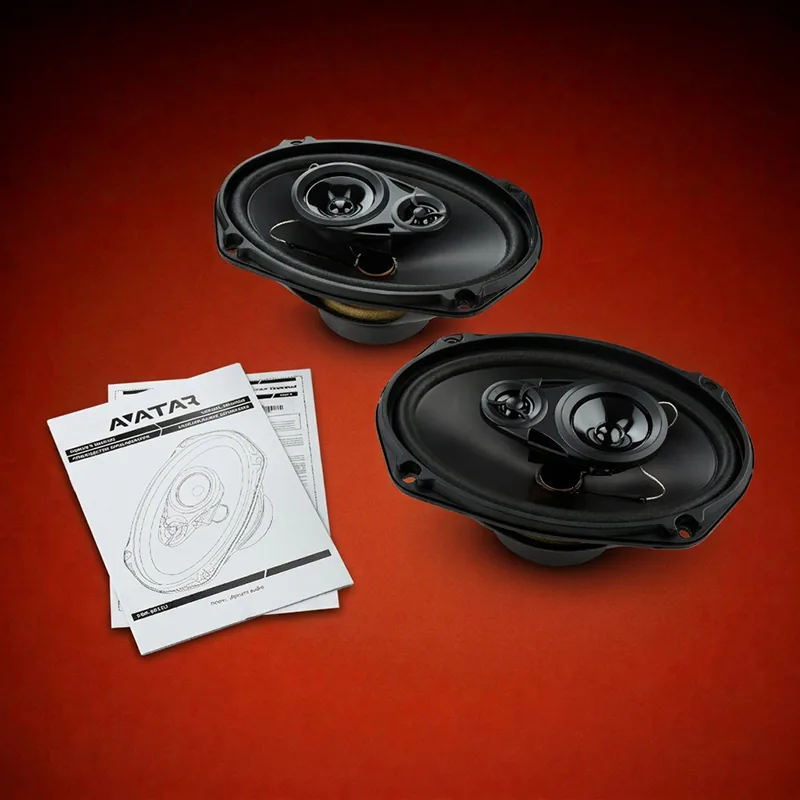 Avatar XBR-6913U